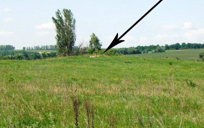 Пам’ятки археології