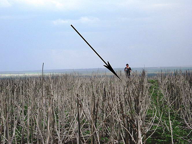 Вигляд з півдня Джерело: Звід пам’яток історії та культури України. Харківська… Курган № 1 зі складу могильника (2)