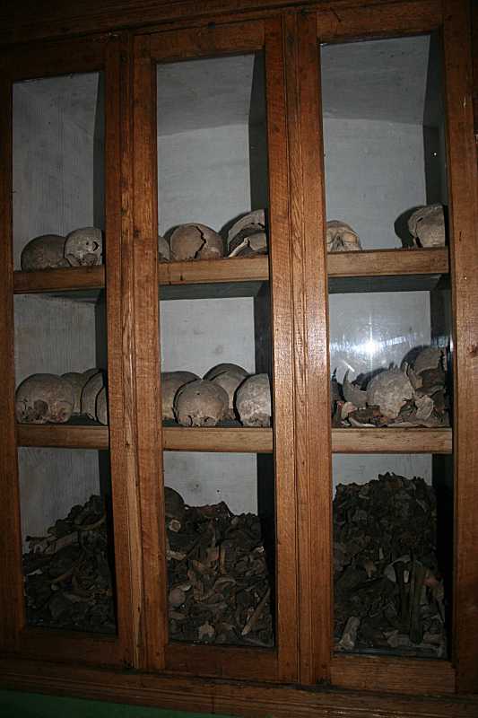 2017 р. Загальний вигляд (2)