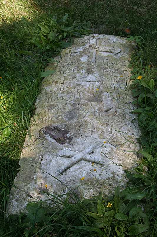 2008 р. Загальний вигляд