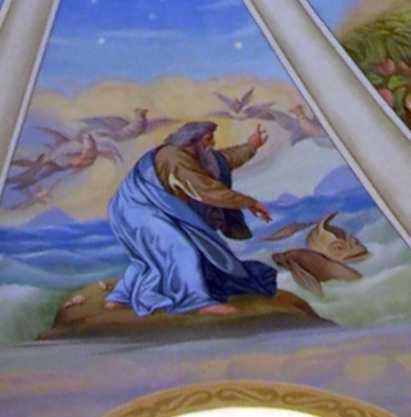 Творення риб і птахів