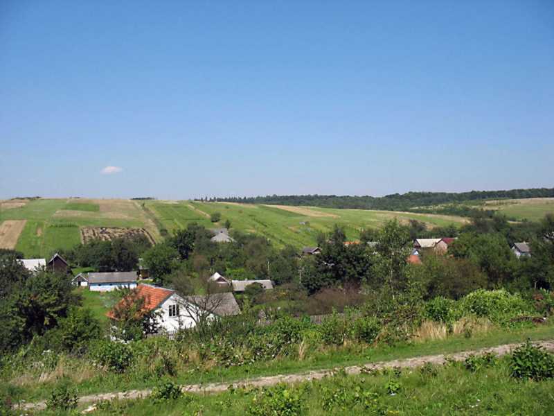 2008 р. Панорама села