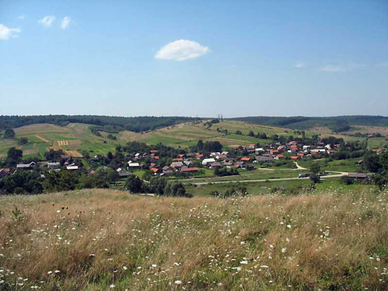 2008 р. Панорама села Суходіл (права…