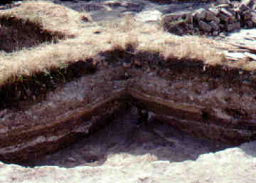 Розкоп церкви