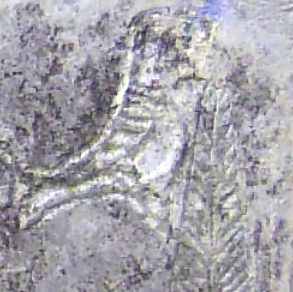 Правий птах на кіпарісі