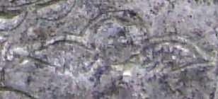 Правий херувим