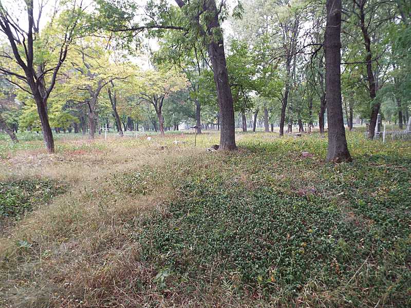 Загальний вигляд. Фото Івана Парнікози, 4 жовтня 2017 р. Міщанське… Міщанське кладовище
