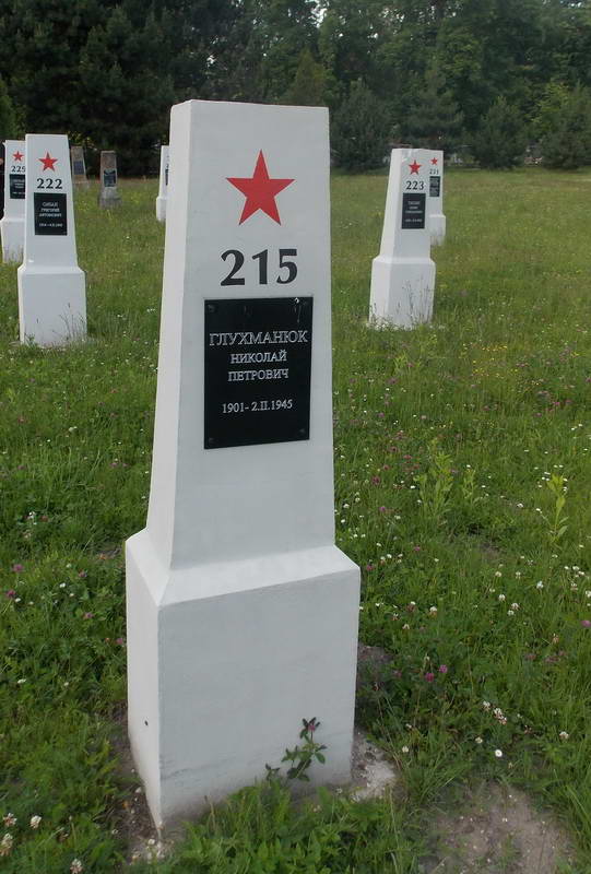 Могила Глухманюка Миколи Петровича