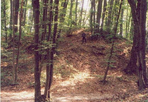 2004 р. Вал в перерізі