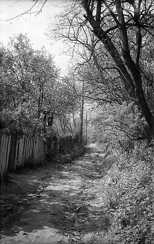 1974 р. Вулиця на Звіринці