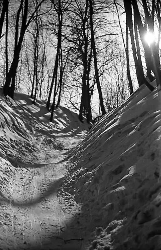 Голосіївський парк