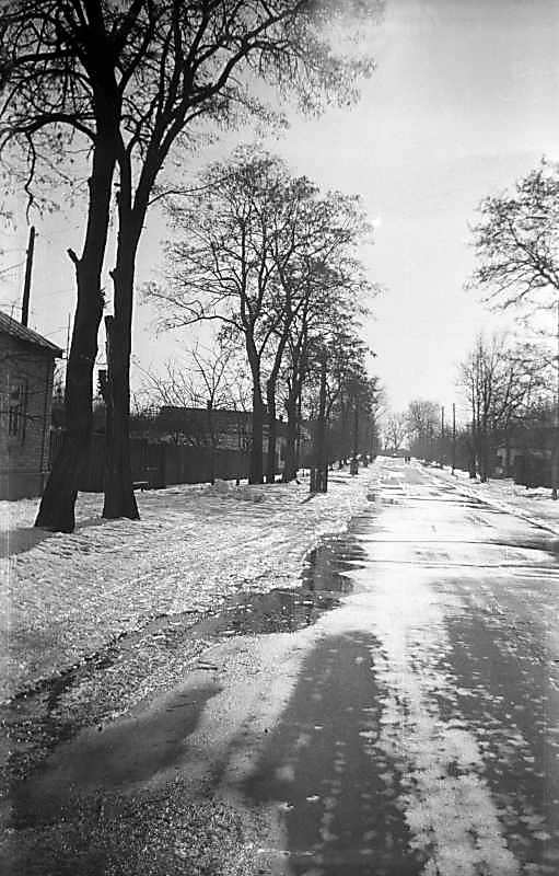 1976 р. Вулиця міста