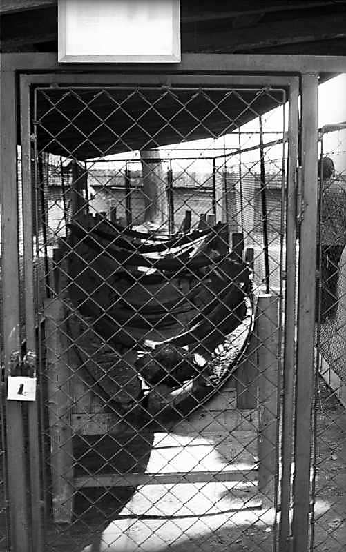 Козацький човен 1651 р.