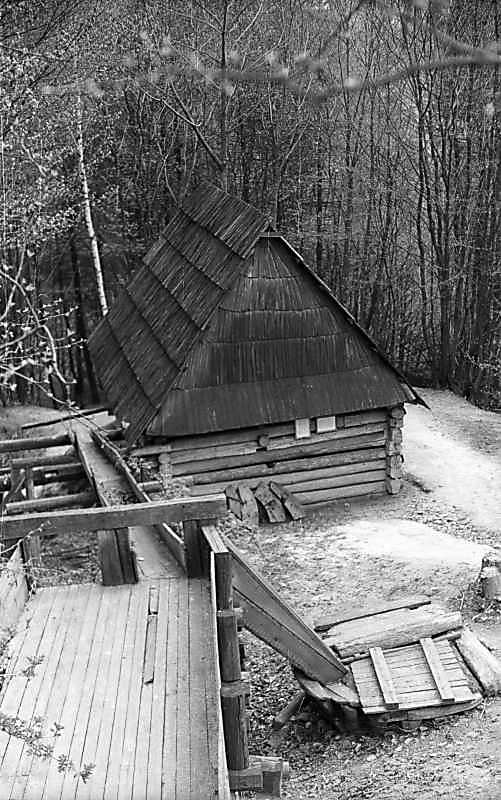 1976 р. Загальний вигляд