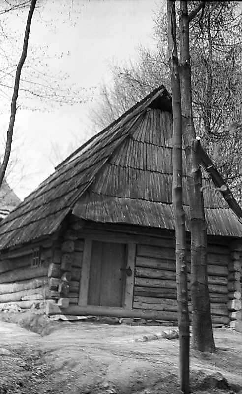 1976 р. Стіна зі входом