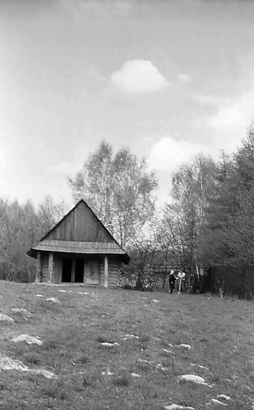 1976 р. Фронтальний вигляд