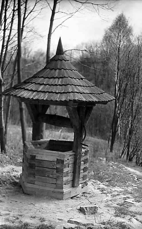 1976 р. Криниця