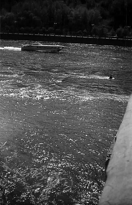 1976 р. Теплохід “Ракета” на Дніпрі.…