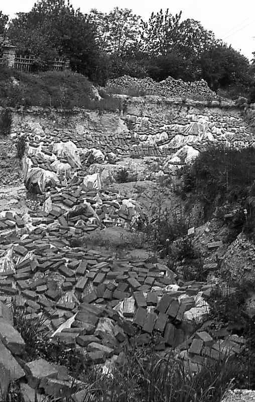 1976 р. Розкоп давньоруського собору…