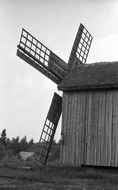 1976 р. Вигляд з позиції А4