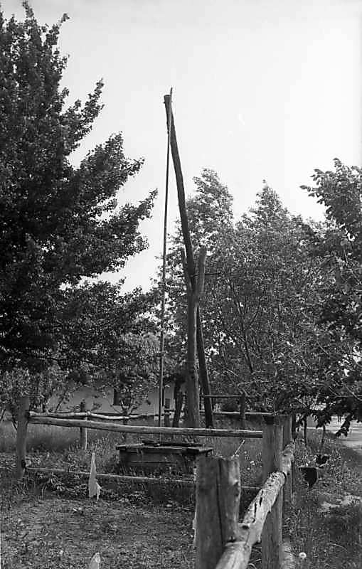 1976 р. Криниця