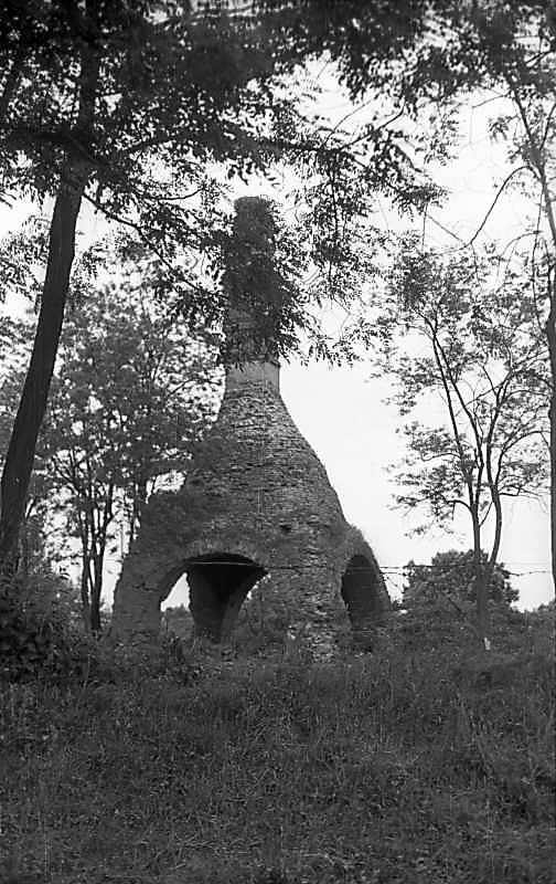 1976 р. Загальний вигляд