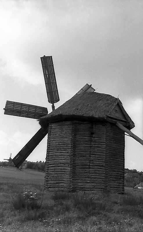 1976 р. Загальний вигляд з позиції А4