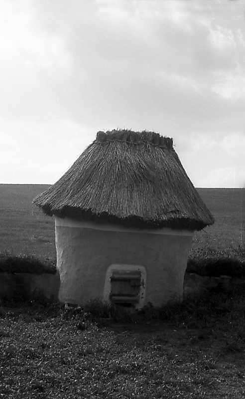 1976 р. Загальний вигляд