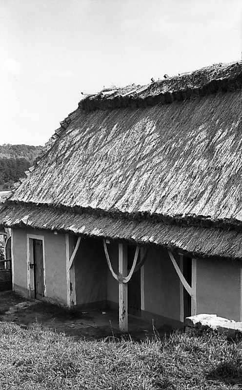 1976 р. Загальний вигляд