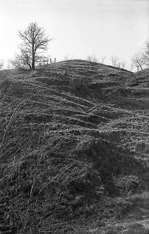 1977 р. Схили городища