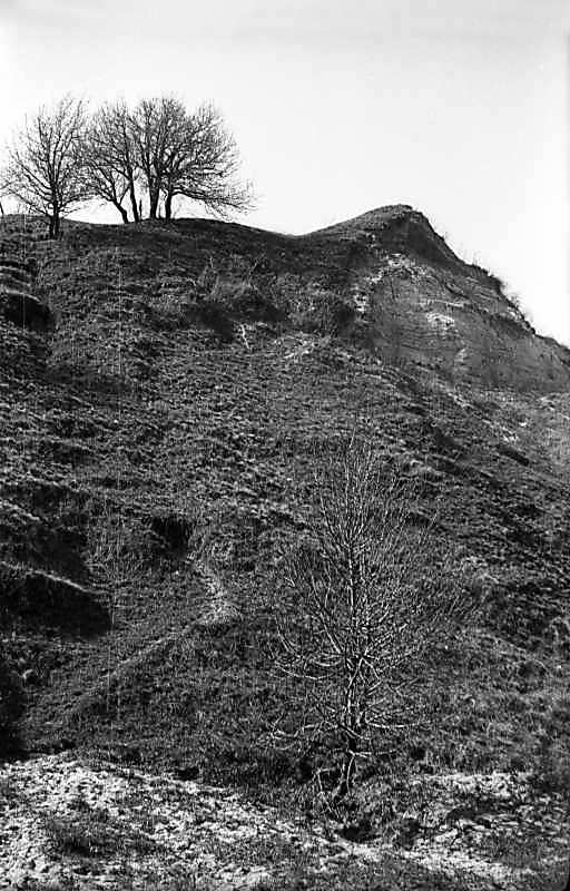 1977 р. Схили городища