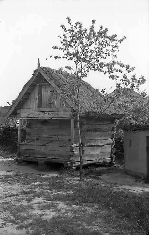 1977 р. Загальний вигляд