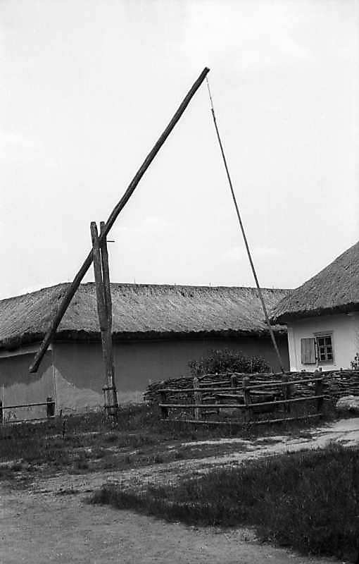 1977 р. Загальний вигляд