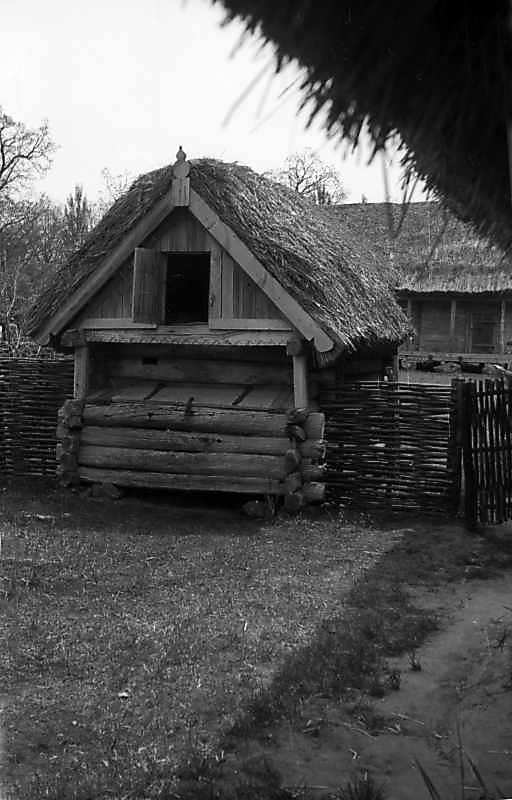 1977 р. Загальний вигляд