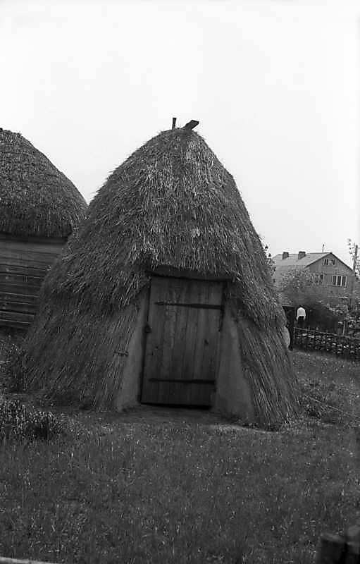 1977 р. Загальний вигляд з боку двора