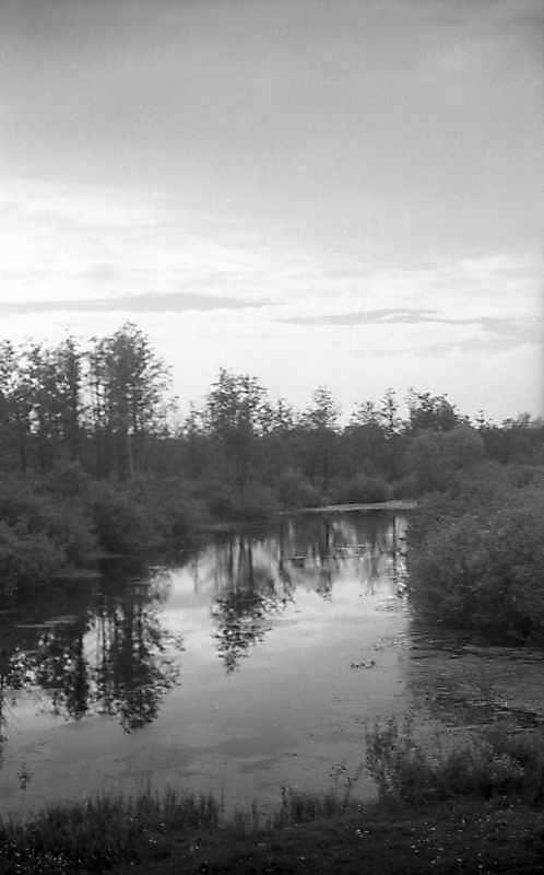 1977 р. Краєвид з озерцем