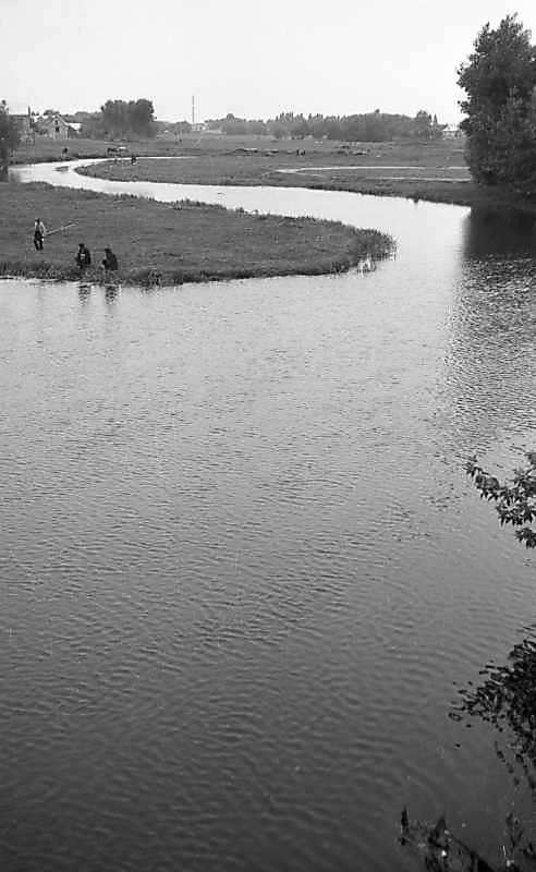 1977 р. Вид на р. Гнилоп’ять біля…