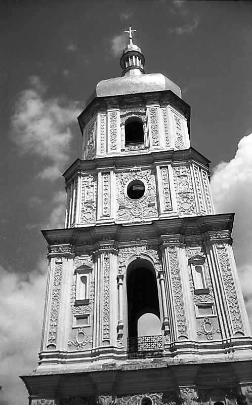 Верхні яруси