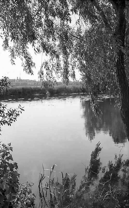 1977 р. Вид на ріку Трубіж