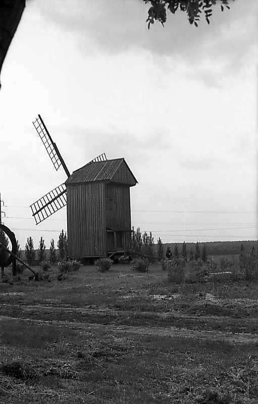 1977 р. Загальний вигляд з позиції А4