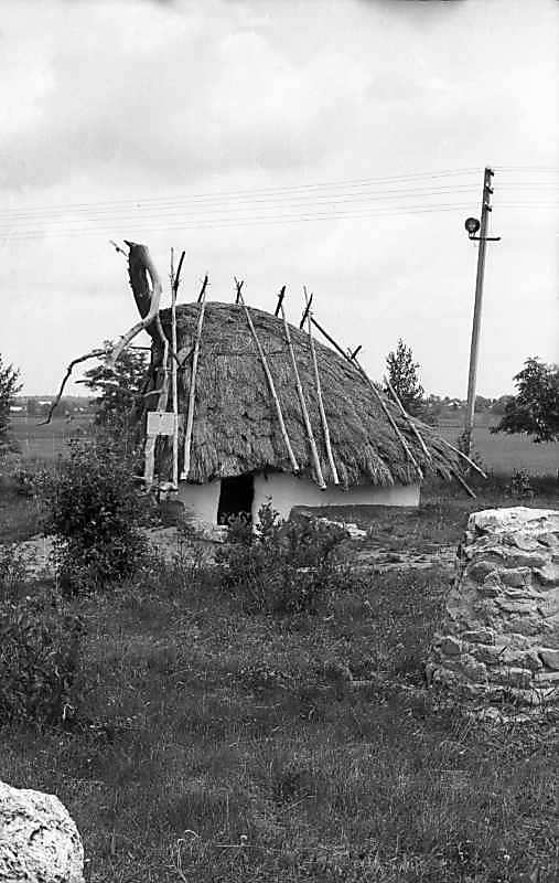 1977 р. Загальний вигляд збоку