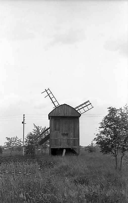 1977 р. Загальний вигляд з позиції С3