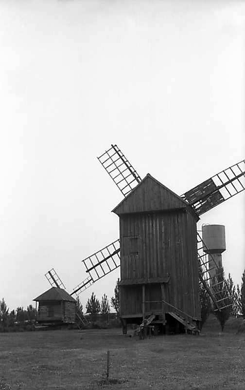 1977 р. Вітряки 10 і 9