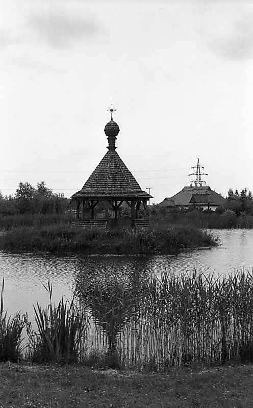 1977 р. Загальний вигляд