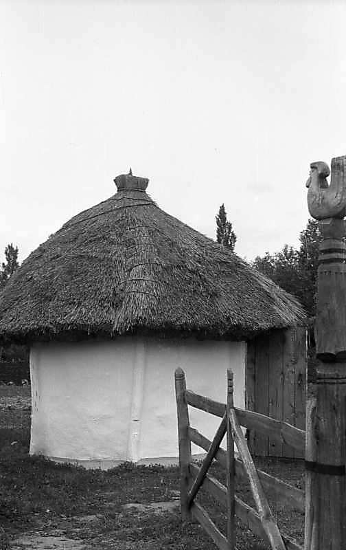 1977 р. Курник