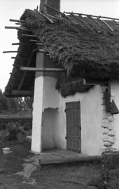 1977 р. Бічна стіна з дверима