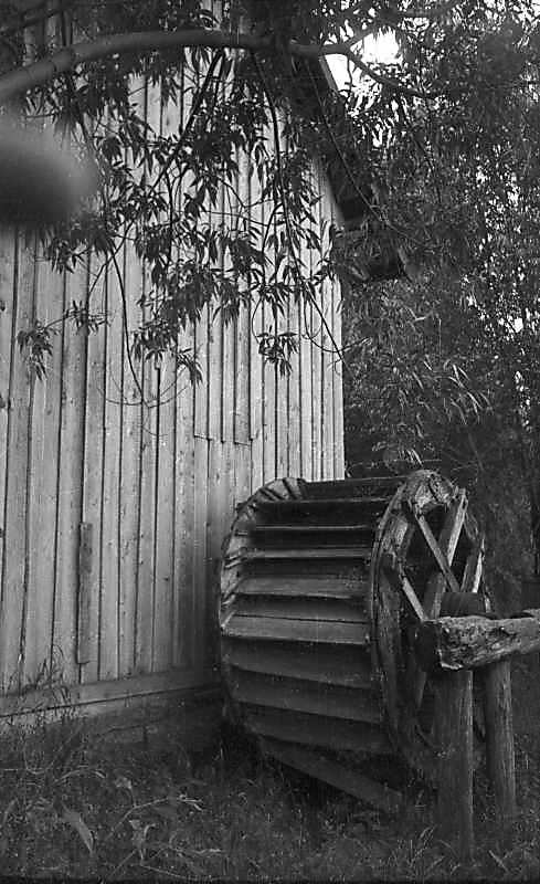 1977 р. Колесо