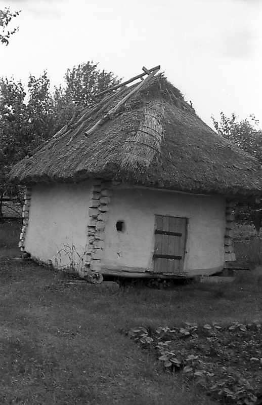 1977 р. Саж. Загальний вигляд