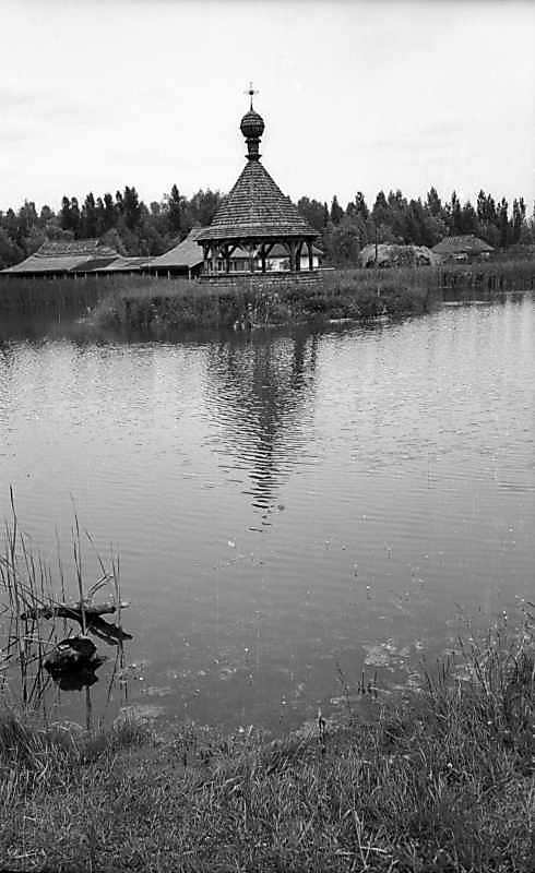 1977 р. Загальний вигляд