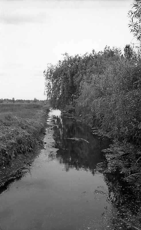 1977 р. Вид річки Попівка біля музею